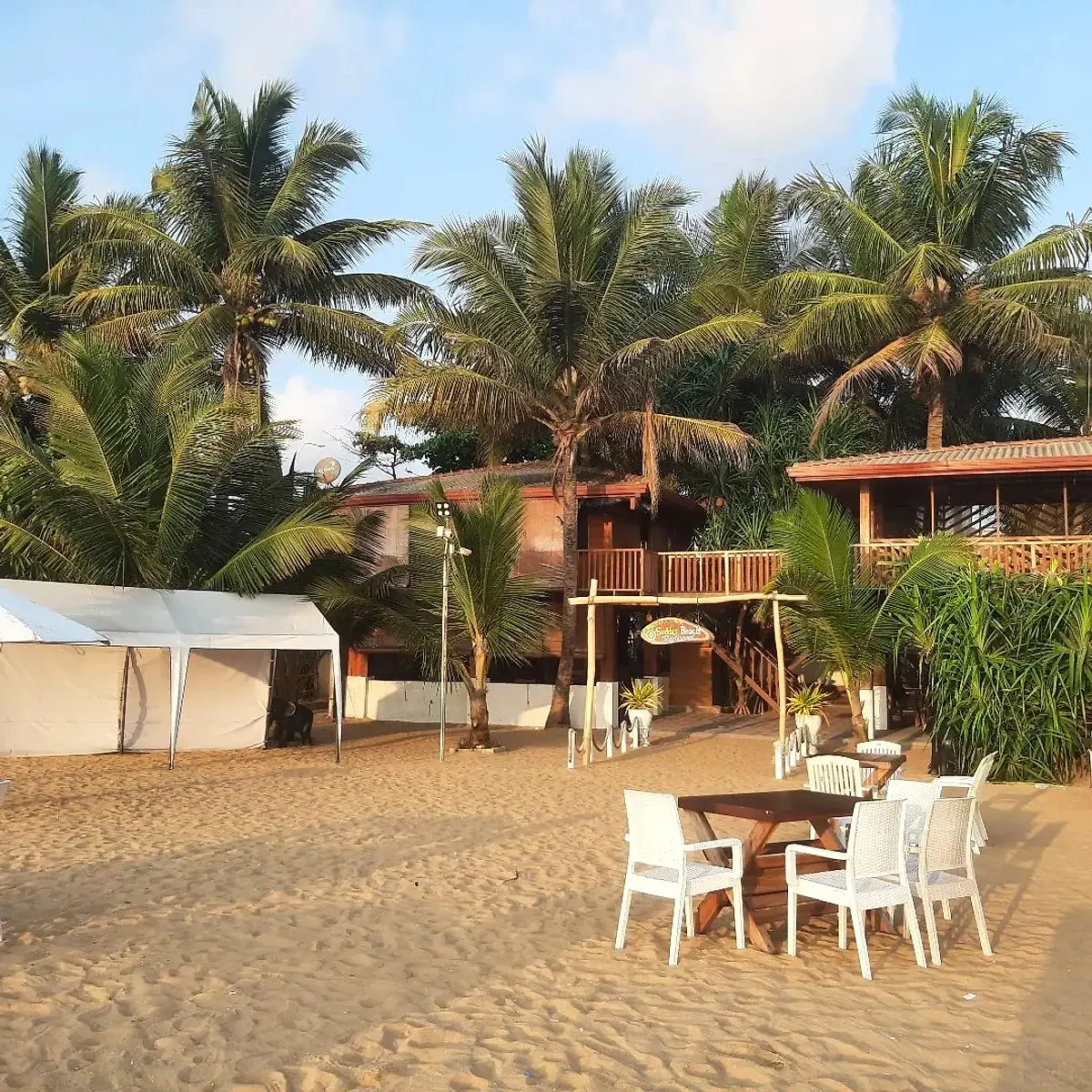 White chairs and tables on the beach in front of the restaurant's buildings and palm trees