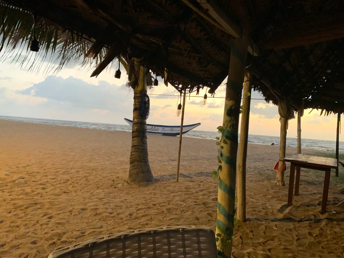 Thatched beach shelters and a table on the sand at golden hour
