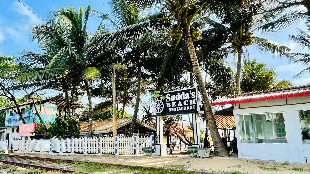 Front of Sudda's Beach Restaurant from the coastal railway line, with palm trees and the sign
